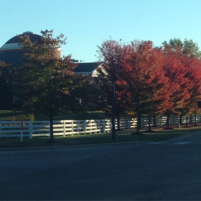 So pretty.  I love fall in Ohio.  #lifeincbus #cbus #newalbanyohio