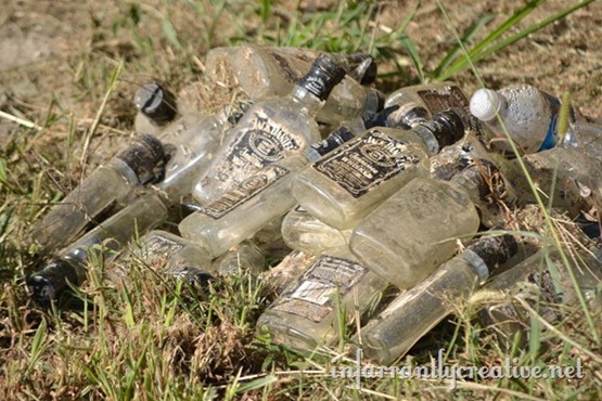 jack-daniels-bottles_thumb