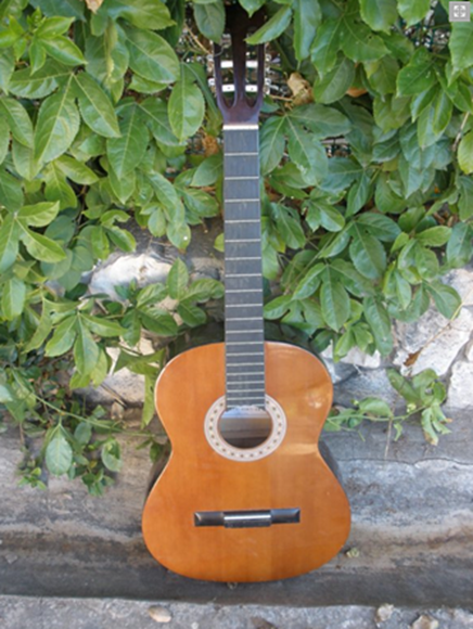 guitar to spice shelf before guitar to spice shelf before