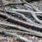 branches for grill screen