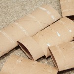 toilet-paper-rolls.jpg