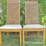 City Farmhouse before