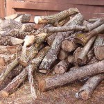 Wood pile