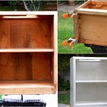 Homework bookshelf before