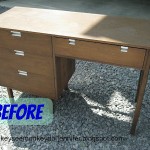 Monkey See Monkey Do desk before