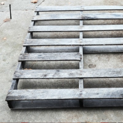 Cherished Bliss chargers before