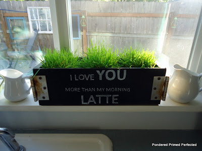 Pondered Primed Perfected cd box after