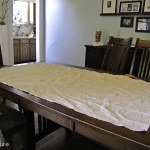 Reposhture dropcloth before