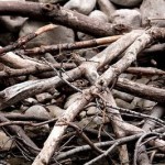 The Space Between advent tree before