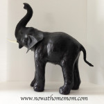 Now at Home Mom elephant before