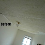 The Space Between ceiling before