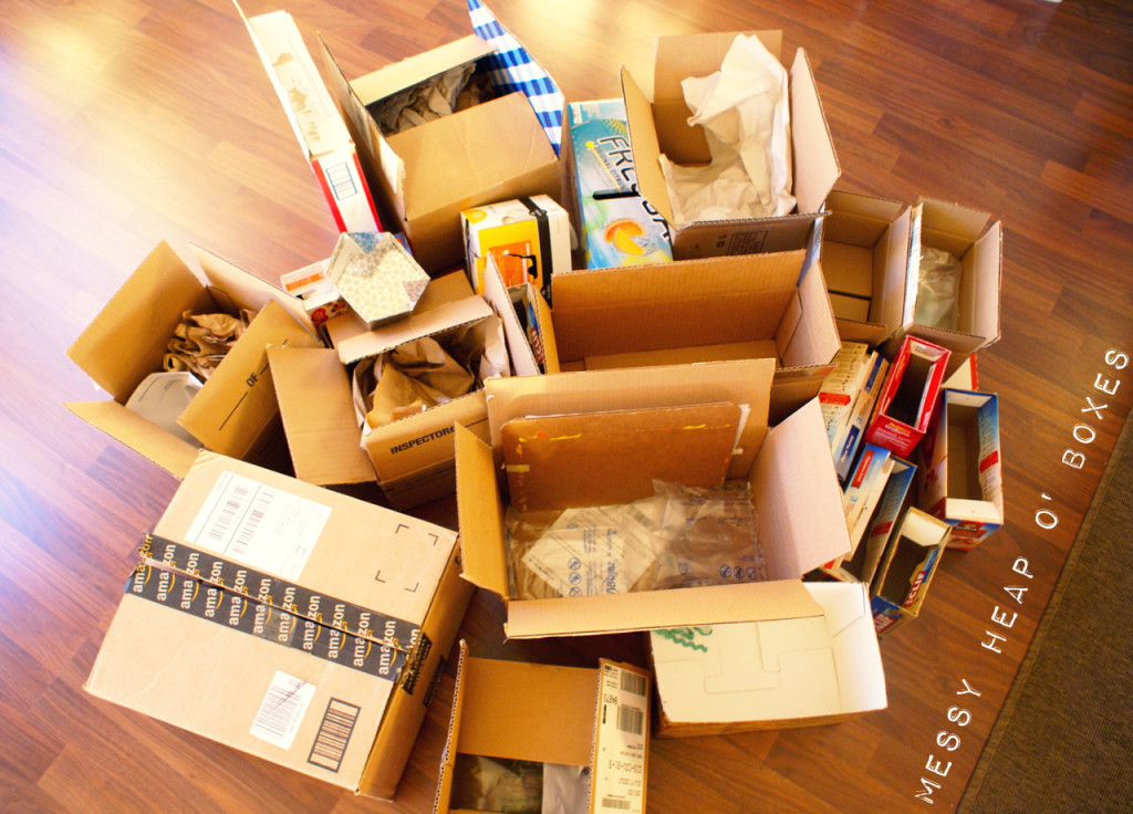 Thinking Closet drawer dividers before
