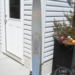 Lake Girl Paints waterski before