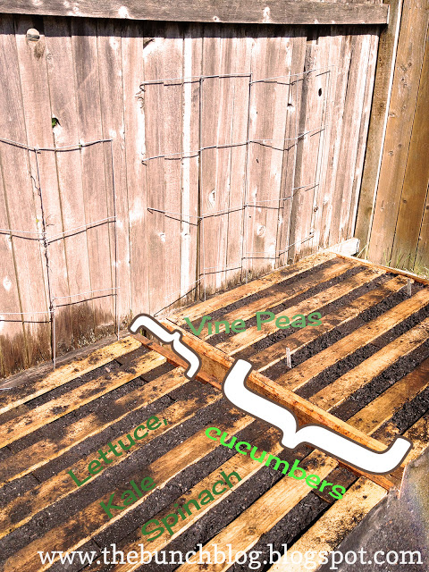 The Bunch pallet garden after