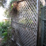 The Felted Fox trellis before