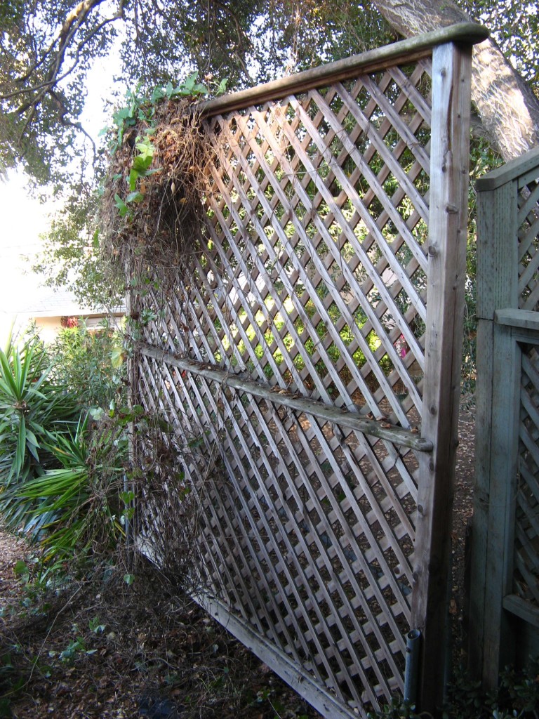 The Felted Fox trellis before