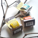 Lemon Tree Dwelling spring tree before