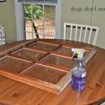 Dogs Don't Eat Pizza window before