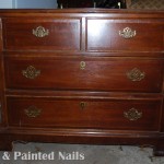Primer and Pinated Nails dresser before