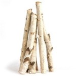 Homework birch branches before