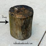 Redhead Can Decorate tree stump before