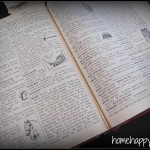 Home Happy Home dictionary banner before