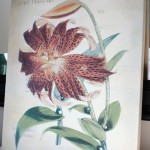 Sartori Design canvas before