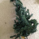 Thrifty Treasures tree top before