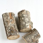 Design Dining Diapers logs before