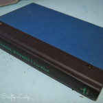 Diary of a Crafty Lady smash book before