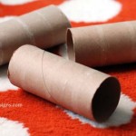 cardboard-tube-toilet-paper