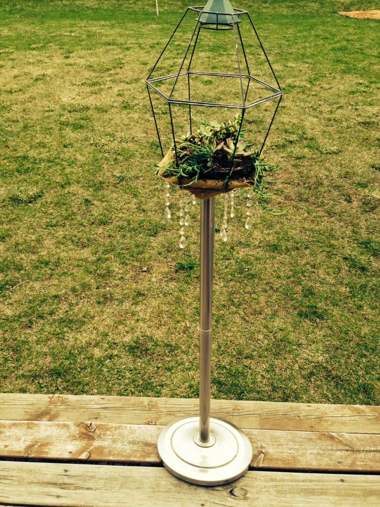 lamp-succulent-planter