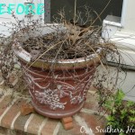 old-garden-pots-paint-chipping