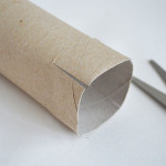 toilet-paper-tube