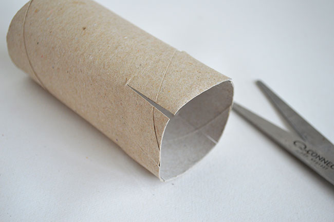 toilet-paper-tube