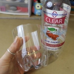 soda-bottle-craft