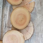 wood-slices