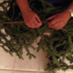 extra-branches-evergreen