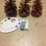 pine-cones